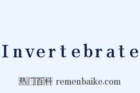 Invertebrate是什么意思的图片